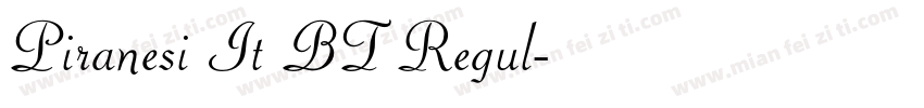 Piranesi It BT Regul字体转换
